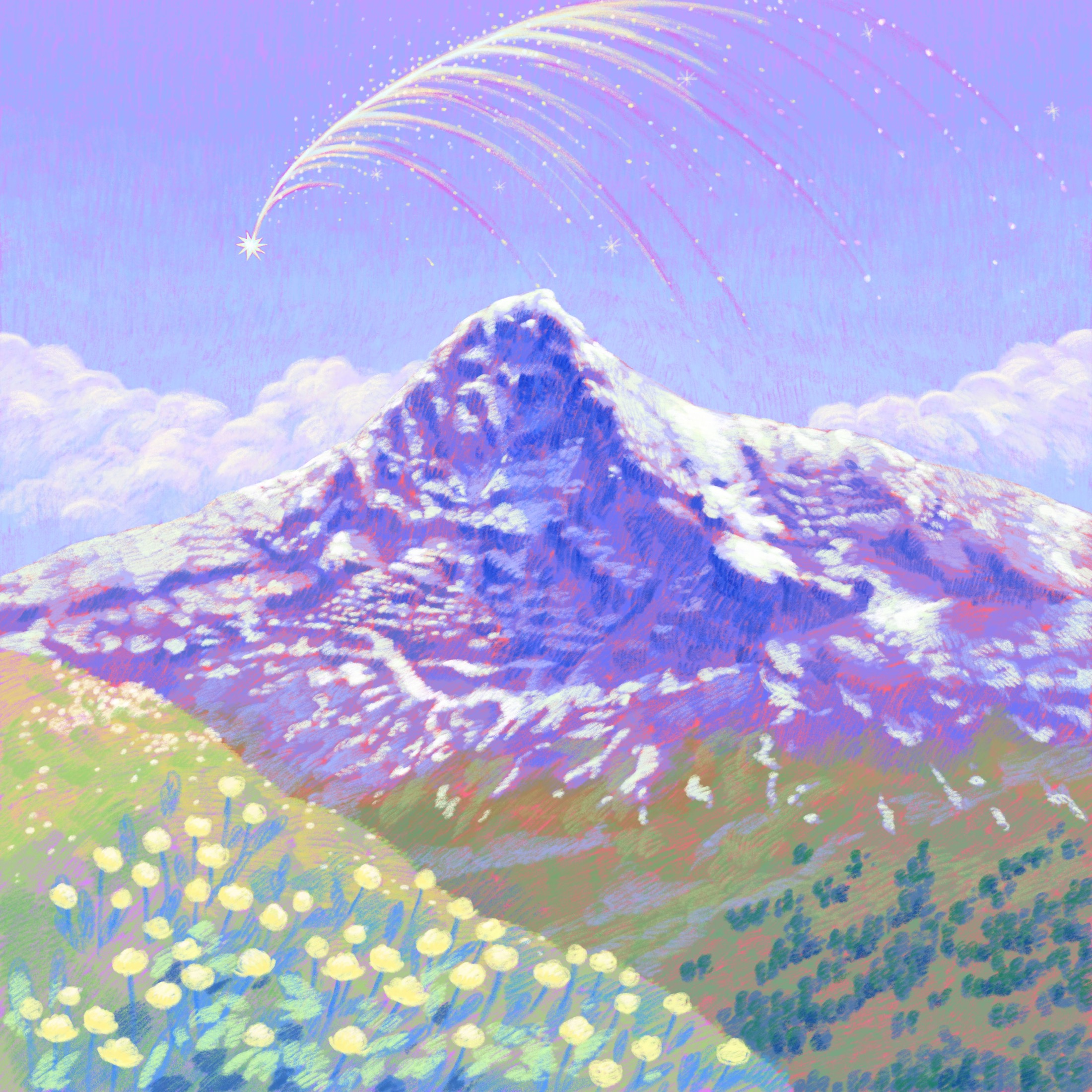 Studio Cez archive image.