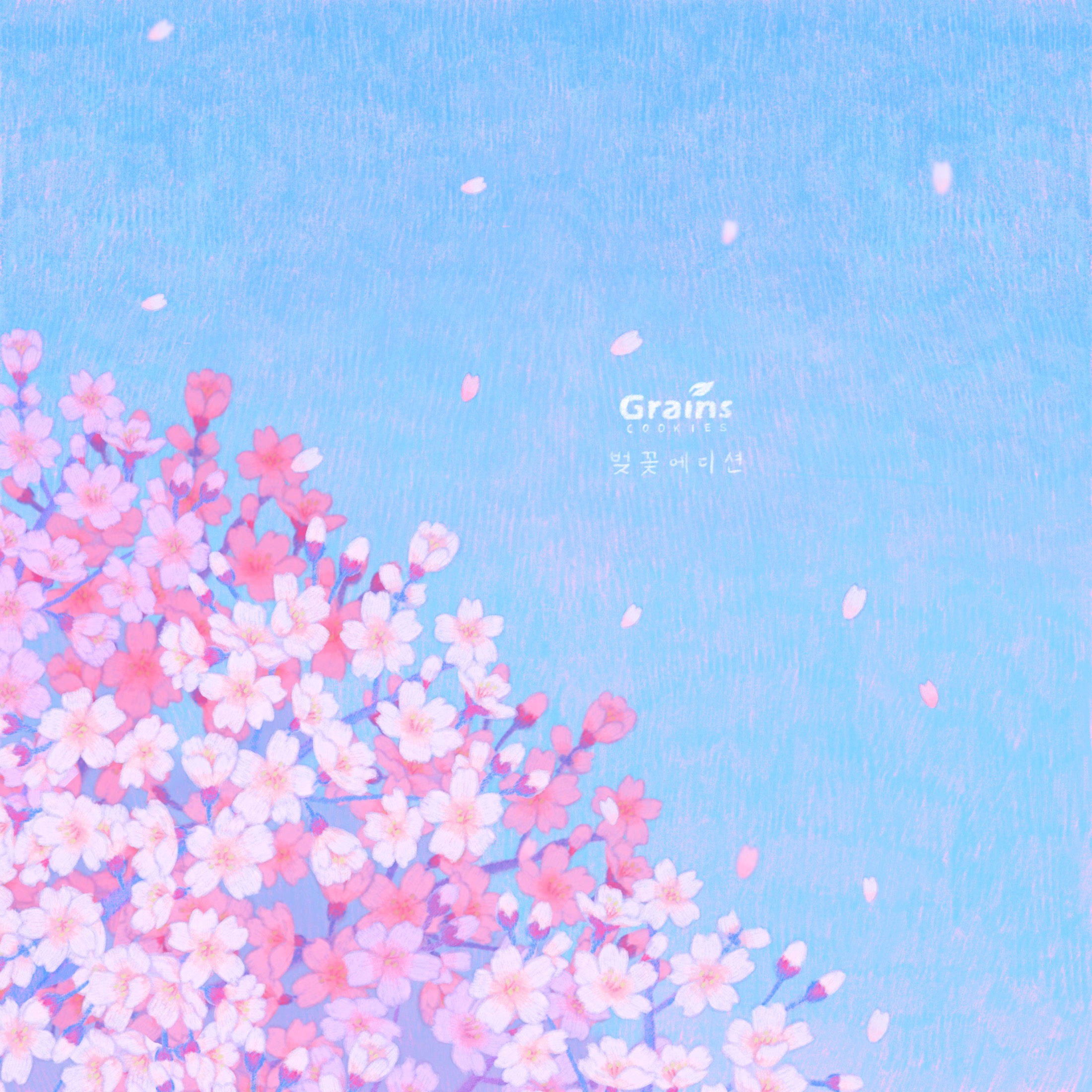 Cherry blossom illustration created for the Grains Cookie spring edition.